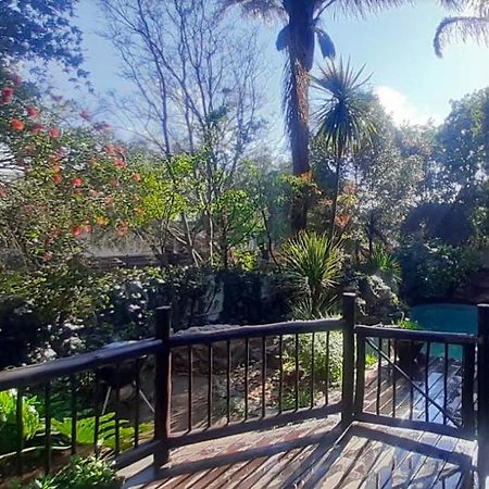 Pantera Lodge & Cheetah Cottage Johannesburg Ngoại thất bức ảnh