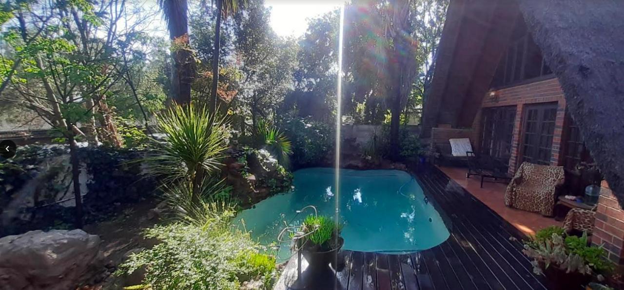 Pantera Lodge & Cheetah Cottage Johannesburg Ngoại thất bức ảnh